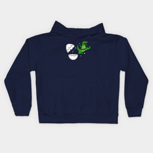 Dinosaur karate Kids Hoodie